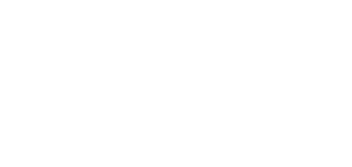 vatsim_white