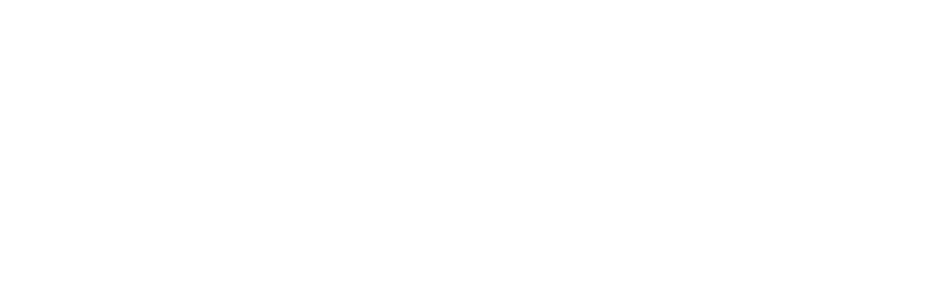 NordFly Logo weiß