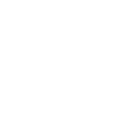 NordFly Logo weiß rund