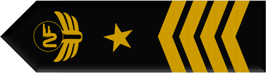 CEO NordFly
