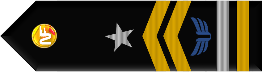 vFI
