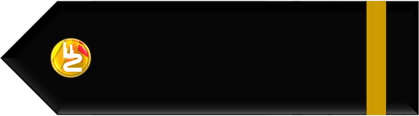 vLAPL Gold (Second Officer)