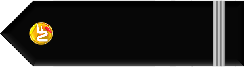 vLAPL Silver (Second Officer)