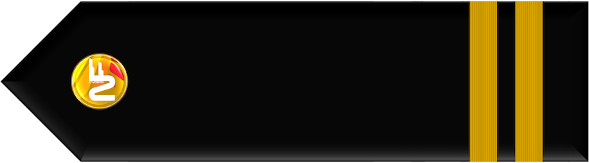 vPPL Gold (1.Officer)